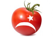 Запрет на экспорт турецких помидоров в Россию стоит два миллиарда долларов